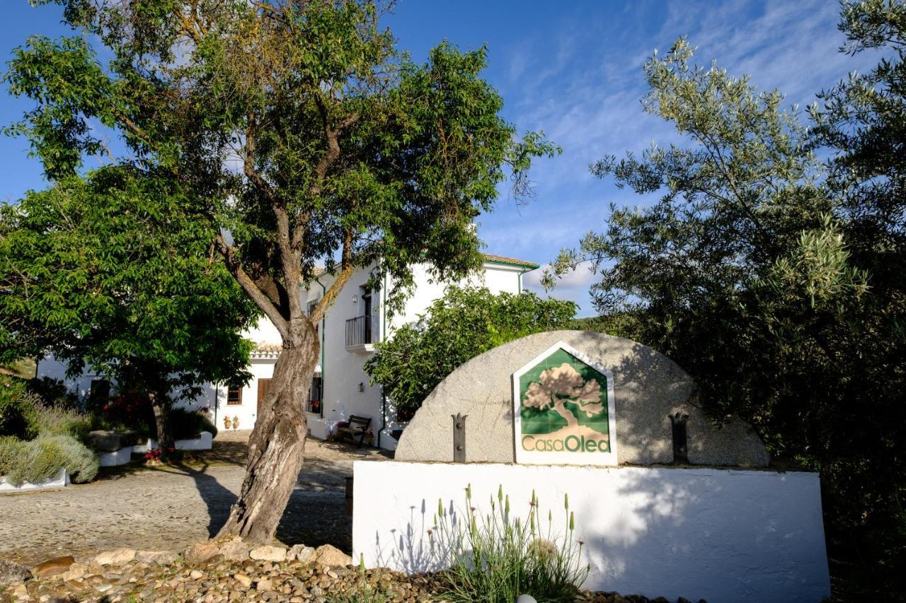 Casa Olea Bed & Breakfast Priego De Cordoba Luaran gambar