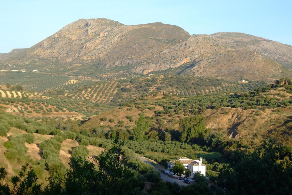 Casa Olea Bed & Breakfast Priego De Cordoba Luaran gambar