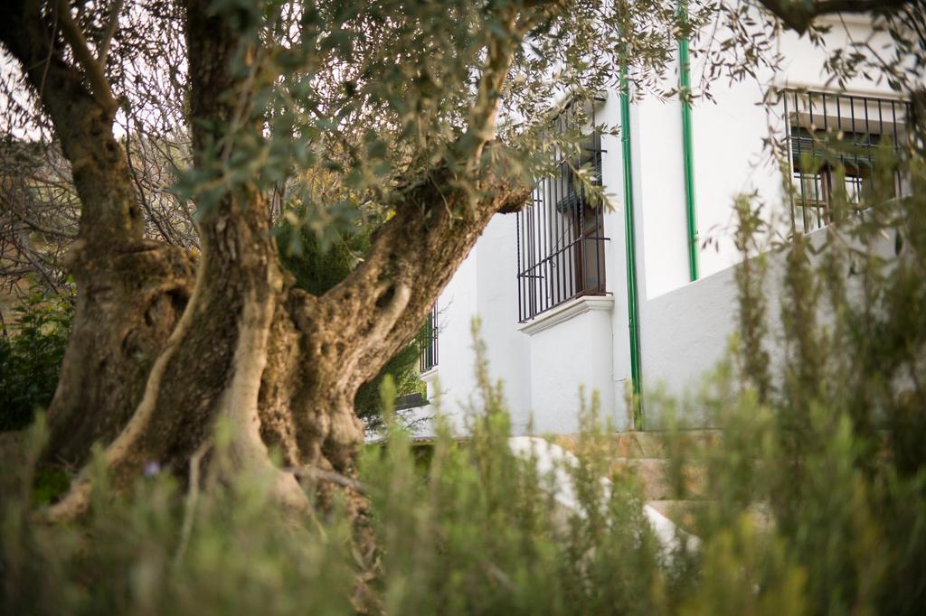 Casa Olea Bed & Breakfast Priego De Cordoba Luaran gambar