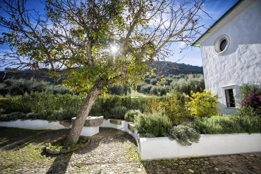 Casa Olea Bed & Breakfast Priego De Cordoba Luaran gambar